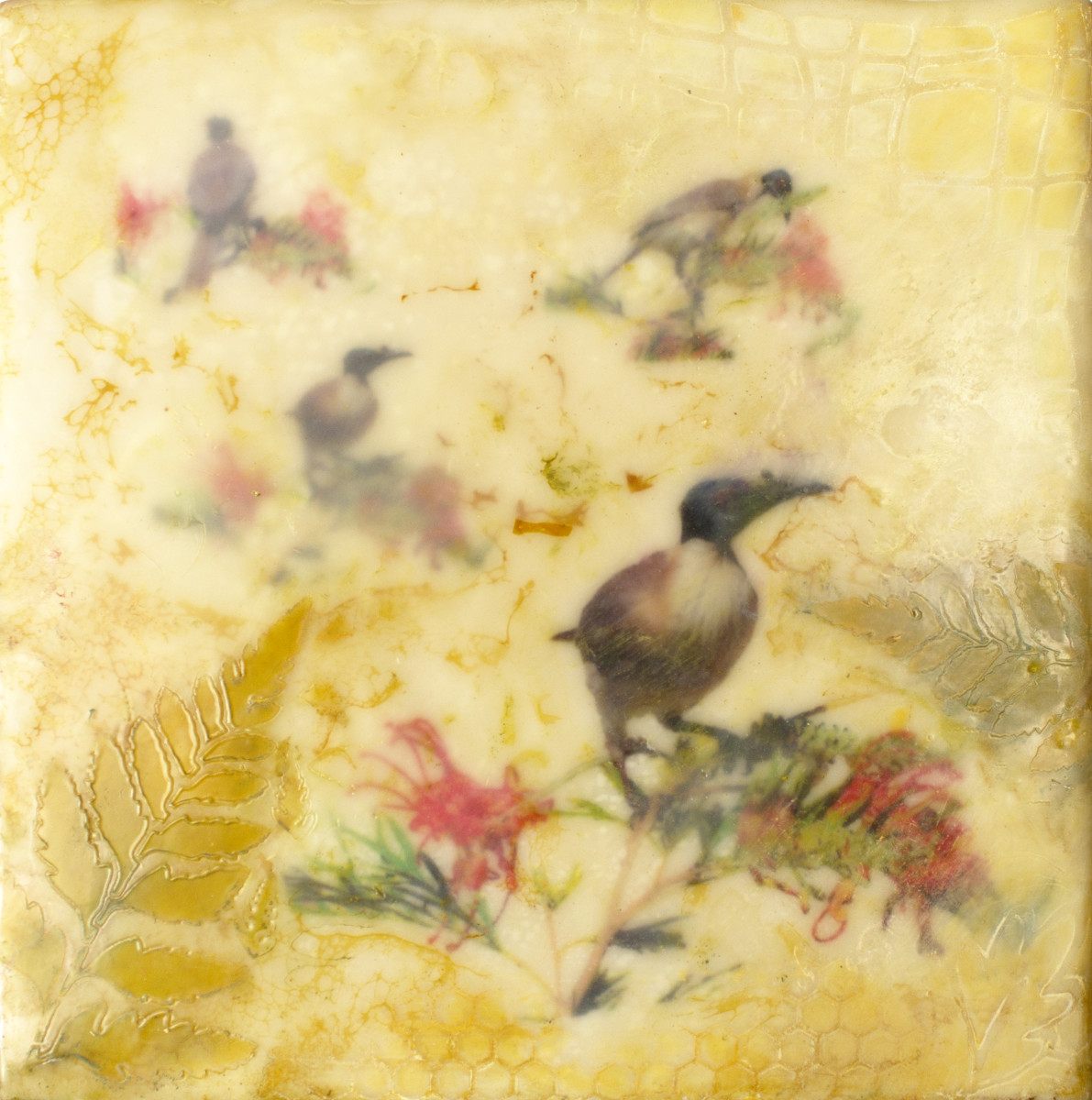 Noisy Friar Birds 4 by Gayle Reichelt 