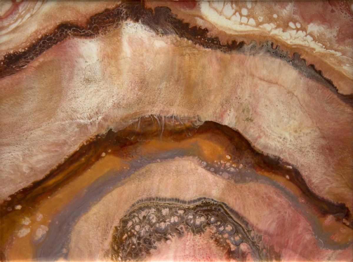 Tree Rings by Gayle Reichelt, Image 1.
