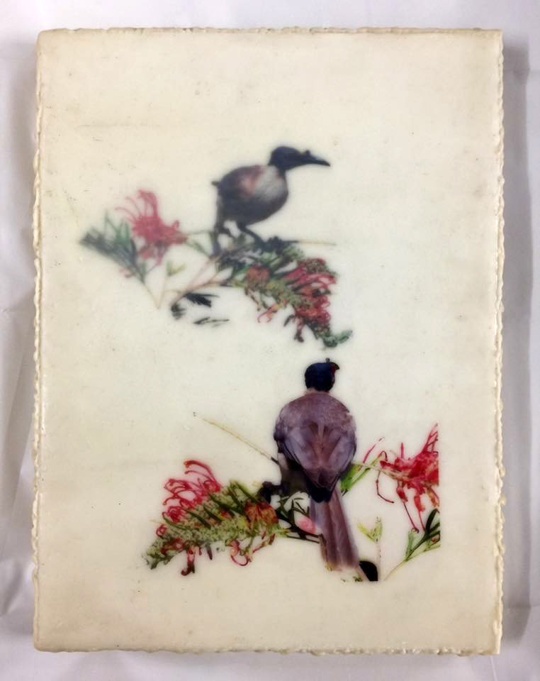 Noisy Friar Birds 14 By Gayle Reichelt Artwork Archive