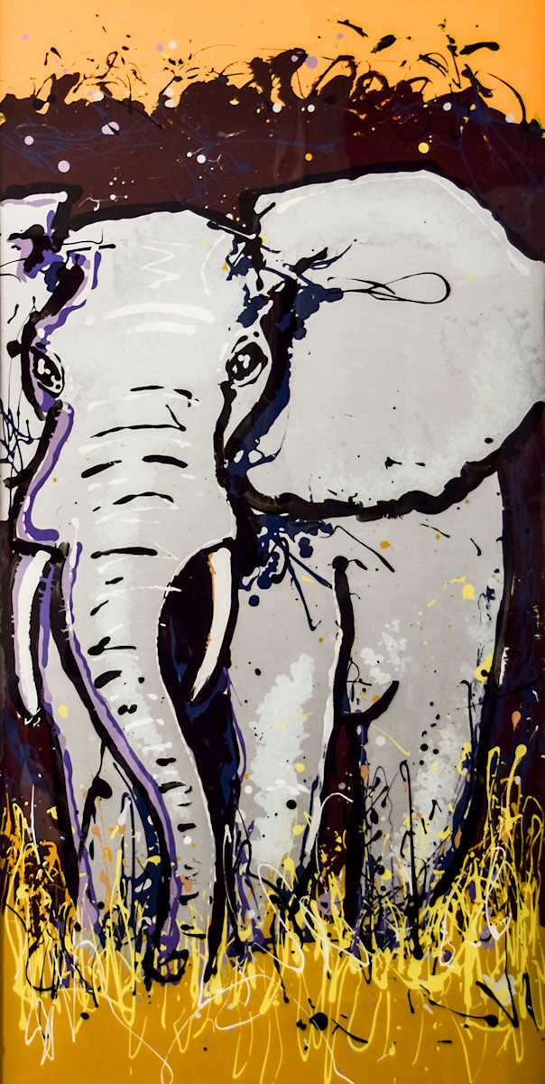 Elephant, Image 1.
