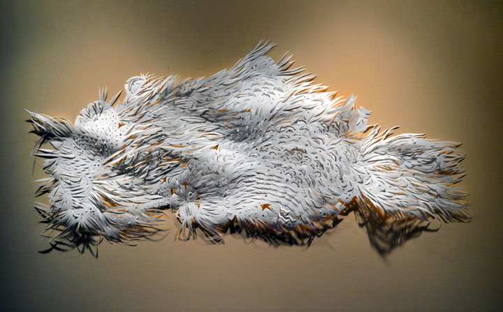 Organic Flow 4, Image 1.