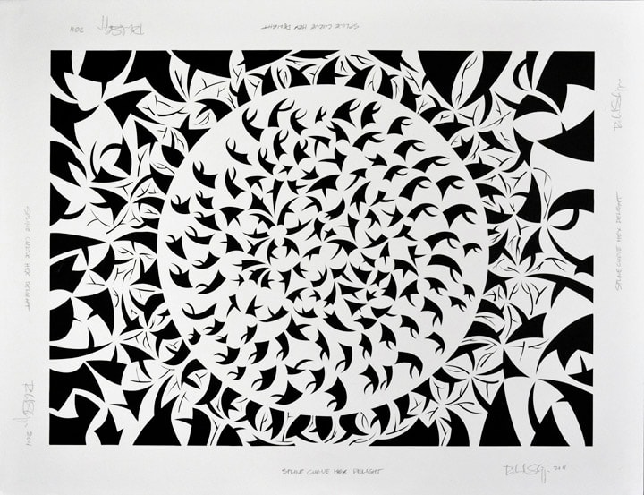 Spline Curve Hex Delight 