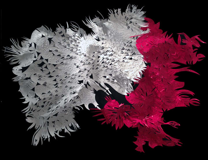 Streamery & Red Organic Form 1a, Image 1.
