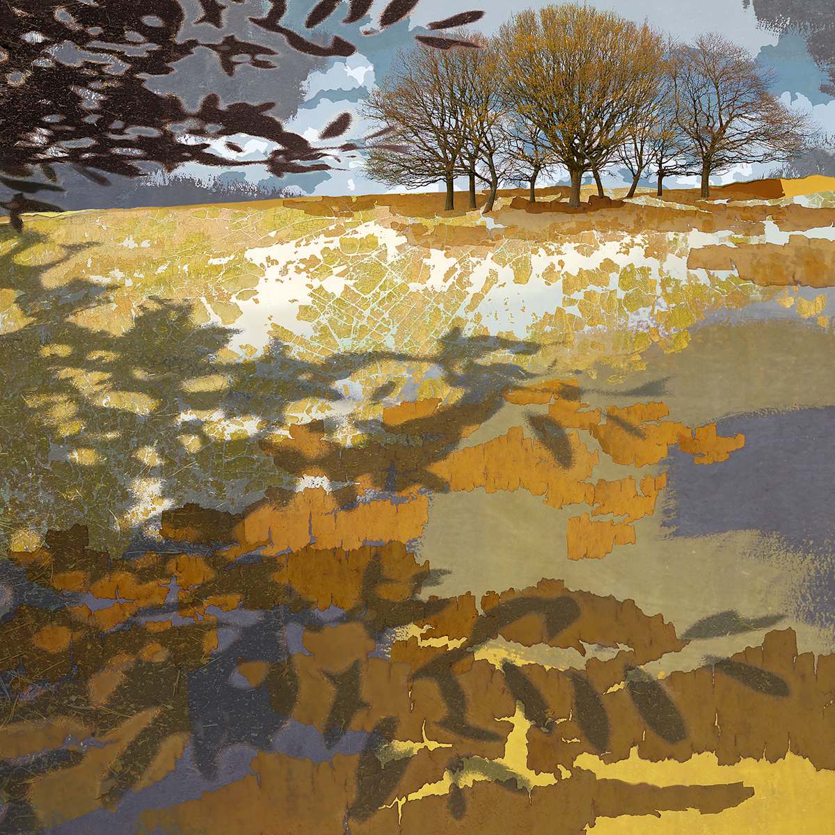 Treescape 6 | The Dance of Shadows by Claire Gill Fine Art 