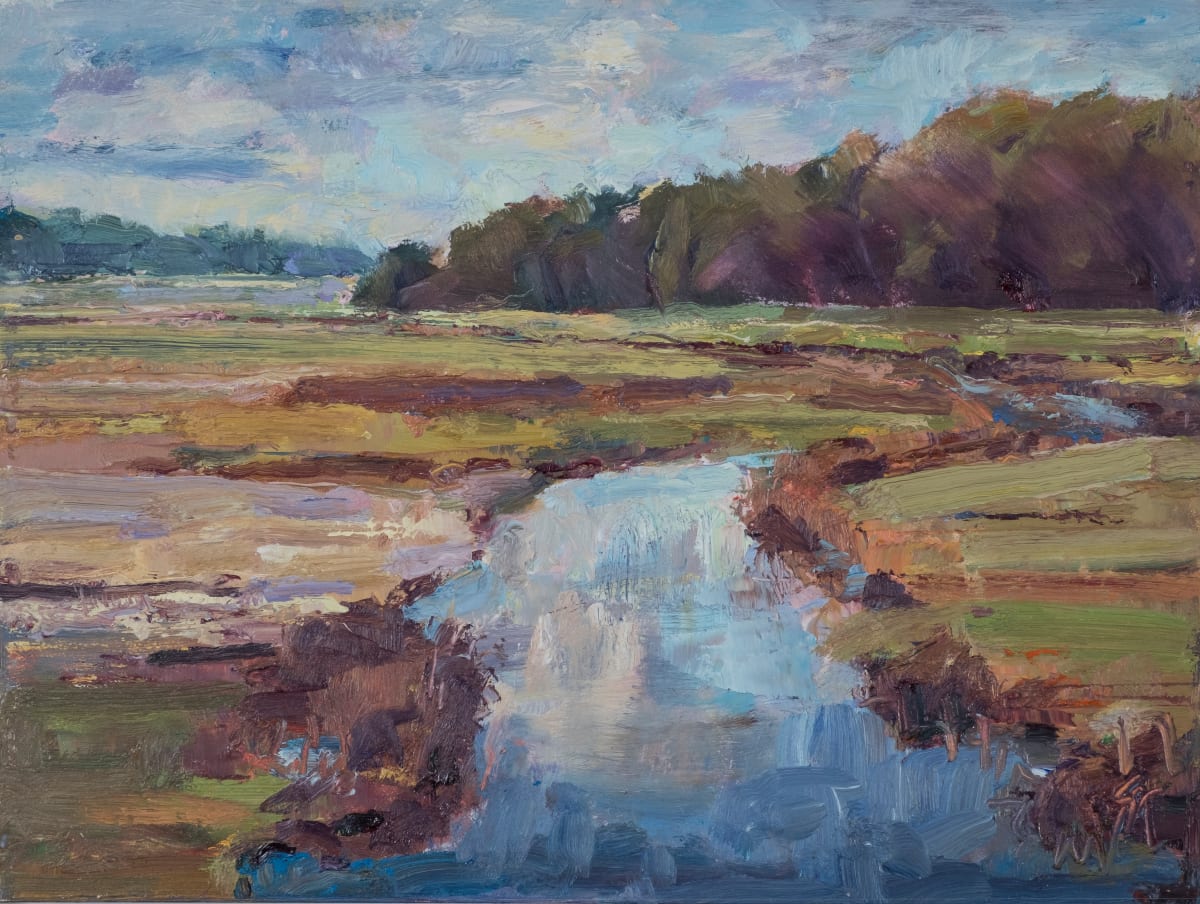 Cranberry Bogs October Cloud Reflections by Frances Knight 