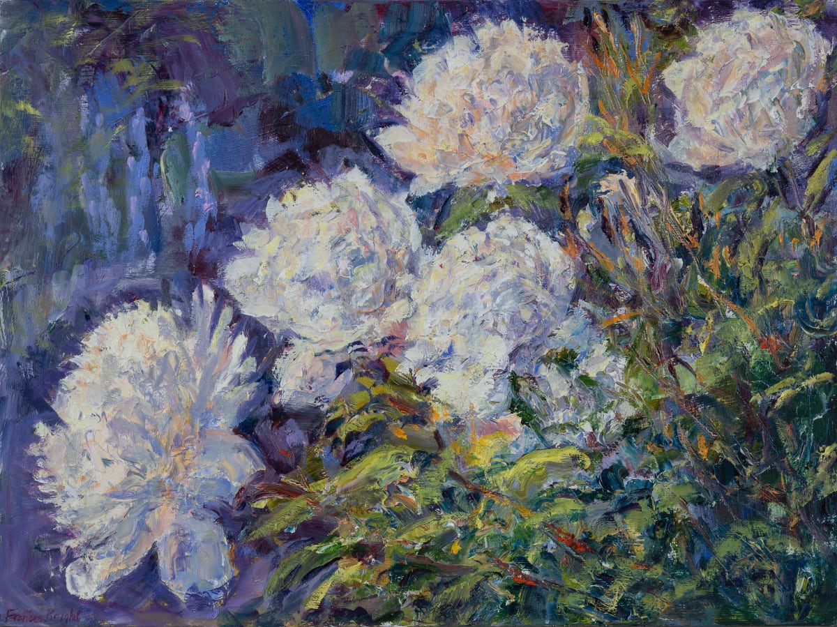 Garden White Peonies by Frances Knight 