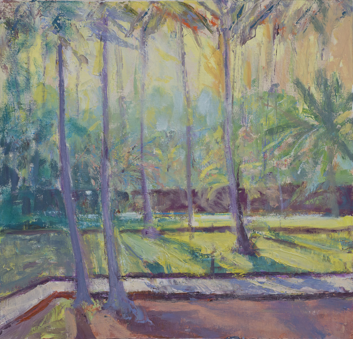 Dawn Light through Palm Trees by Frances Knight 