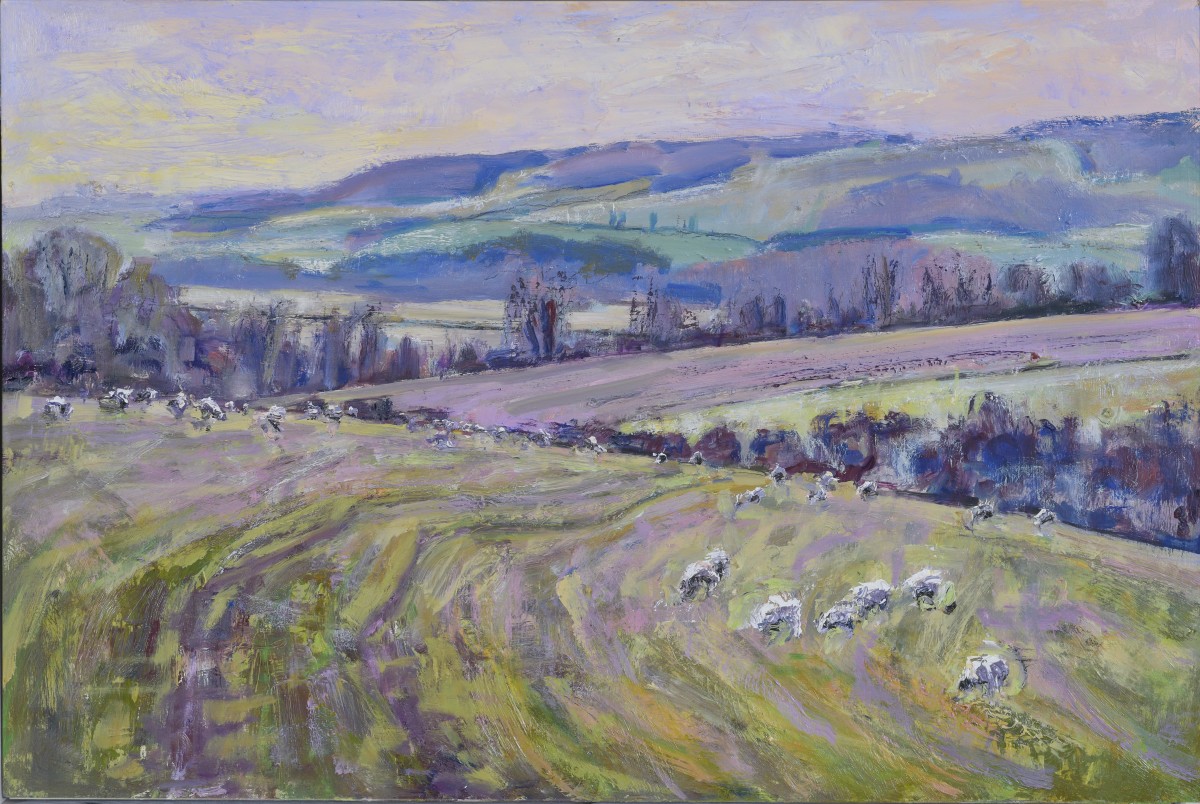 Sheep on the Downs Winter Quietude by Frances Knight 