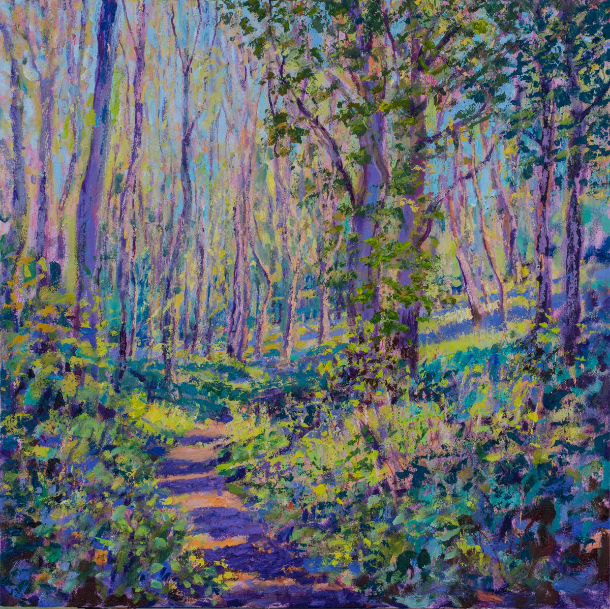 Springtime Path Through the Woods 