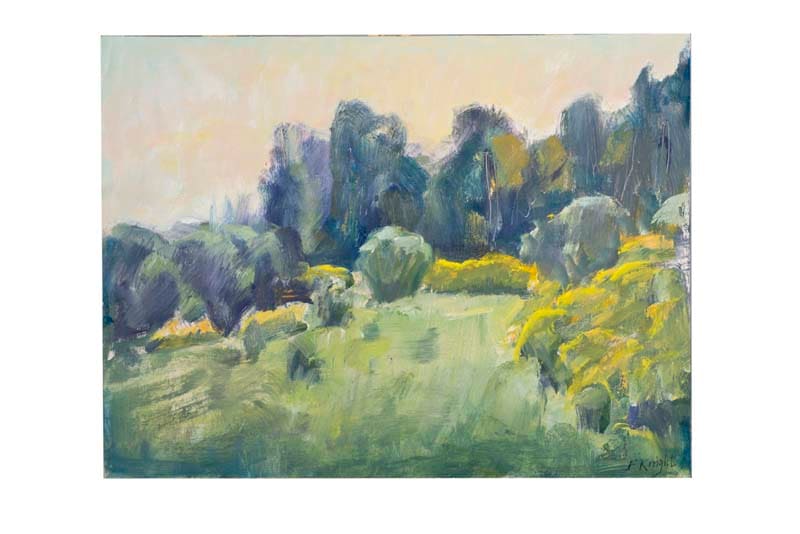 `Broom Late Afternoon Light by Frances Knight, Image 1.