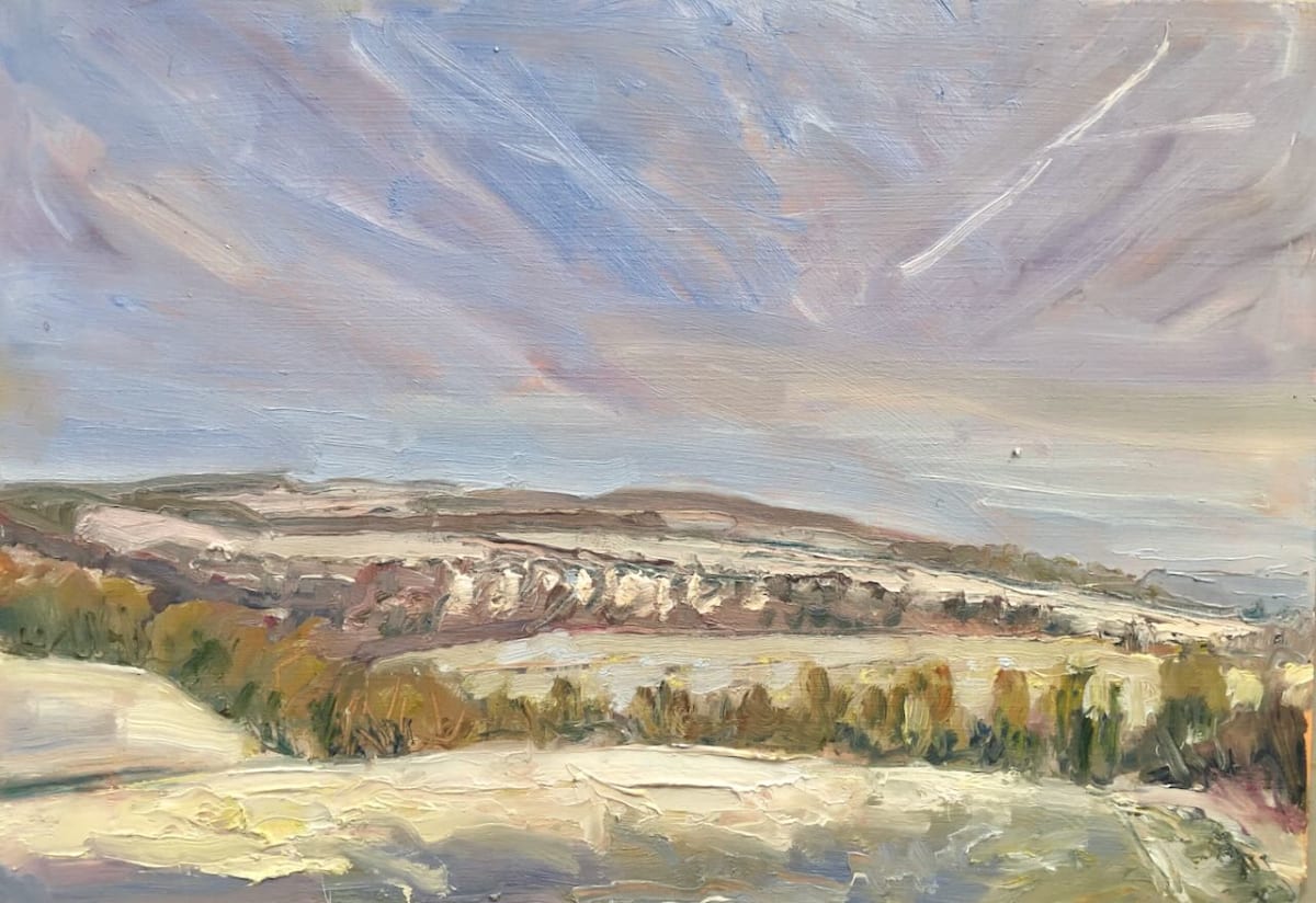 Light Snow South Downs by Frances Knight 