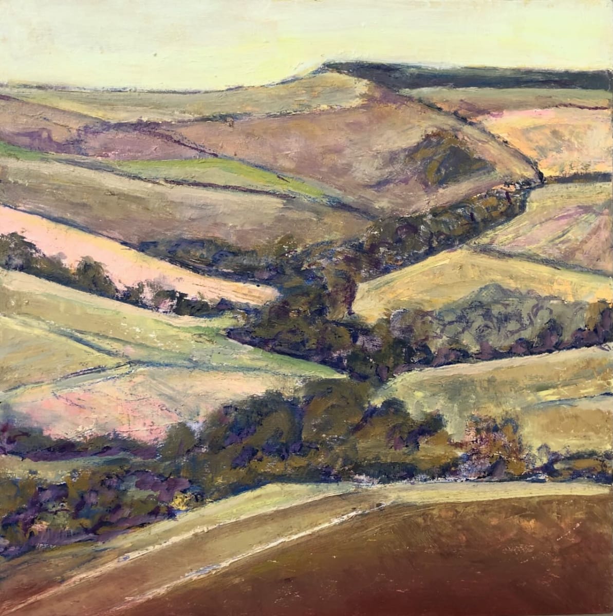 Downland Patterns by Frances Knight 