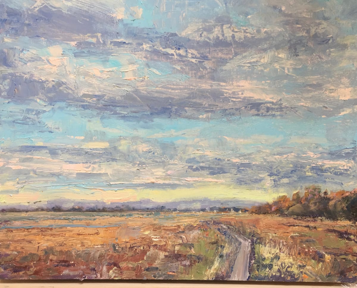 Harbour Wall Salt Marshes by Frances Knight, Image 1.