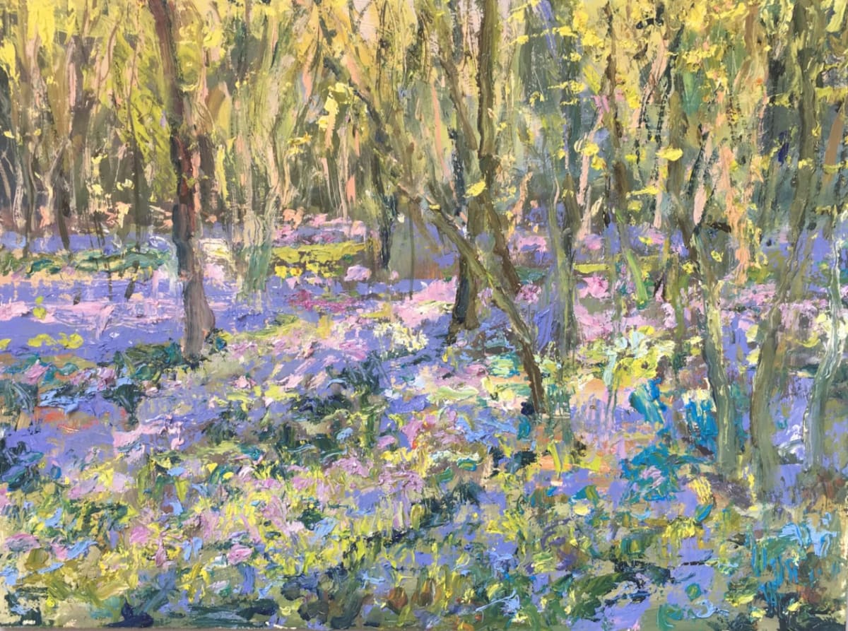 Morning Light in the Bluebell Woods 2 by Frances Knight 