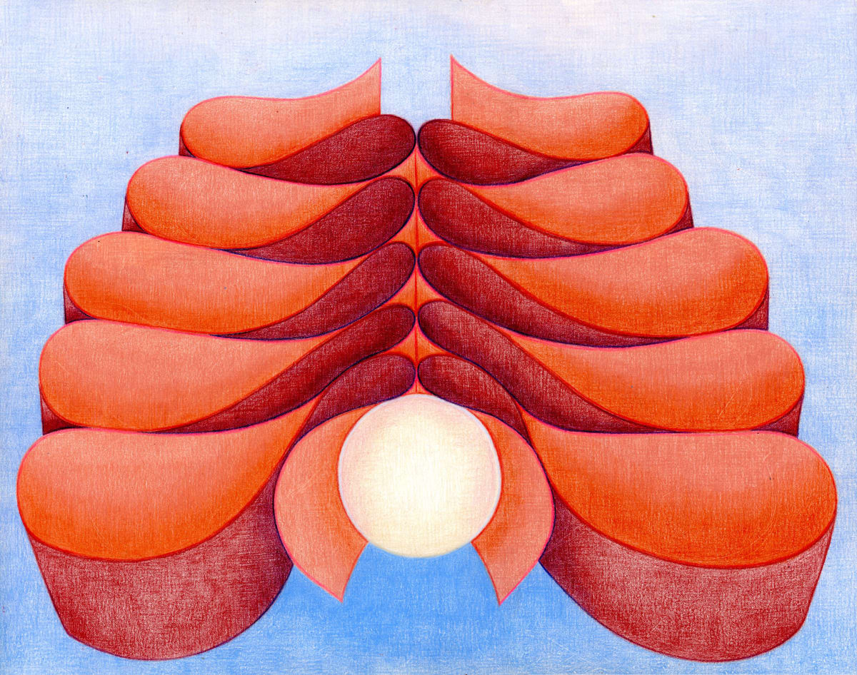 Seashell, Image 1.