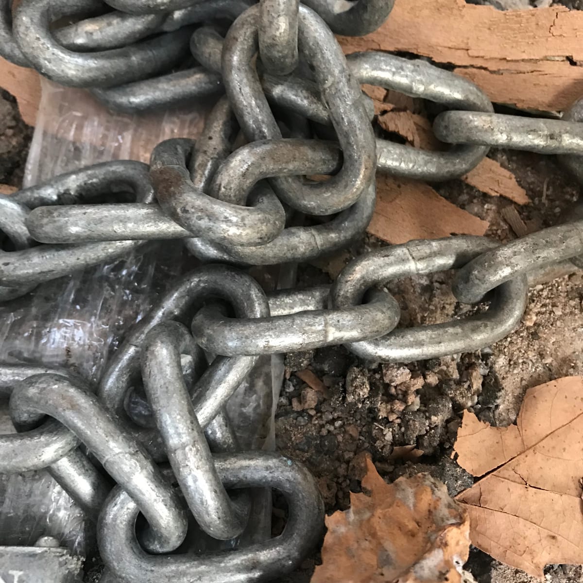 Chains by Tracy Penn 