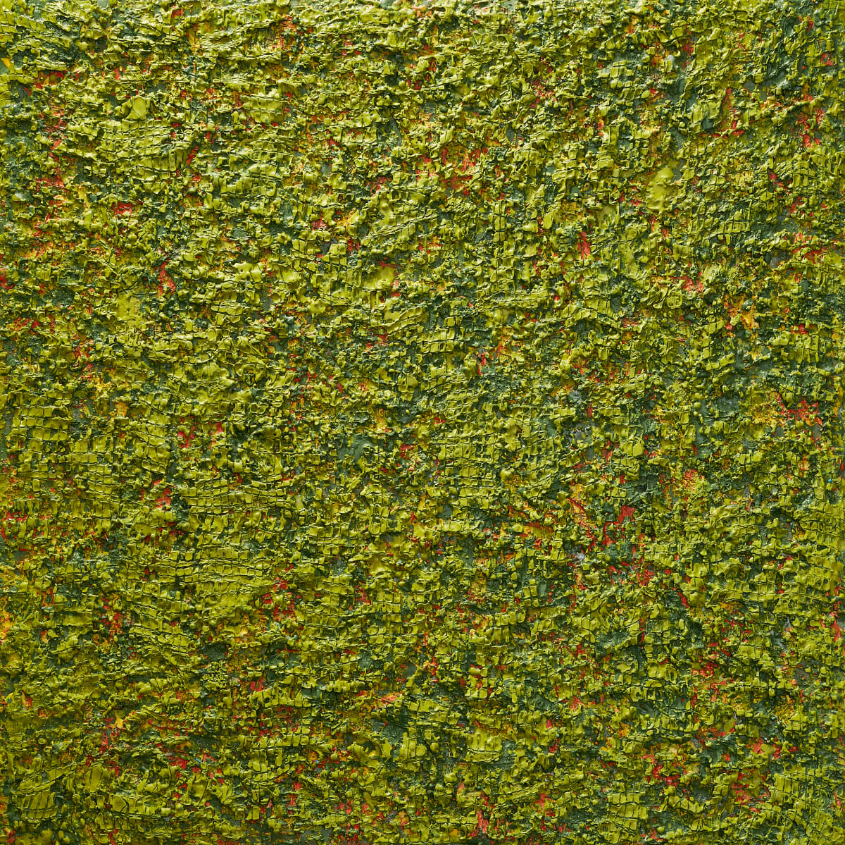 May You Be the Road by Tracy Penn 