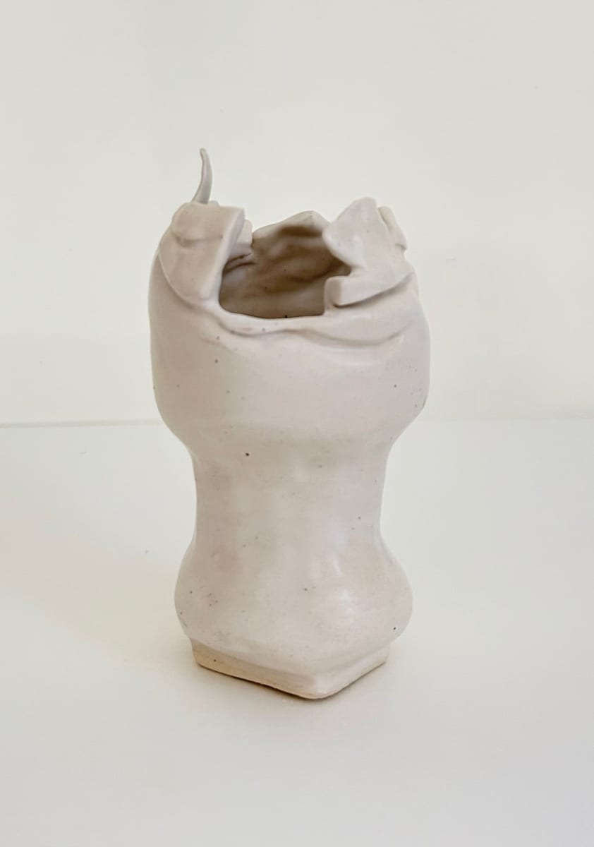 Vessel #17 by Evelyn Woods 