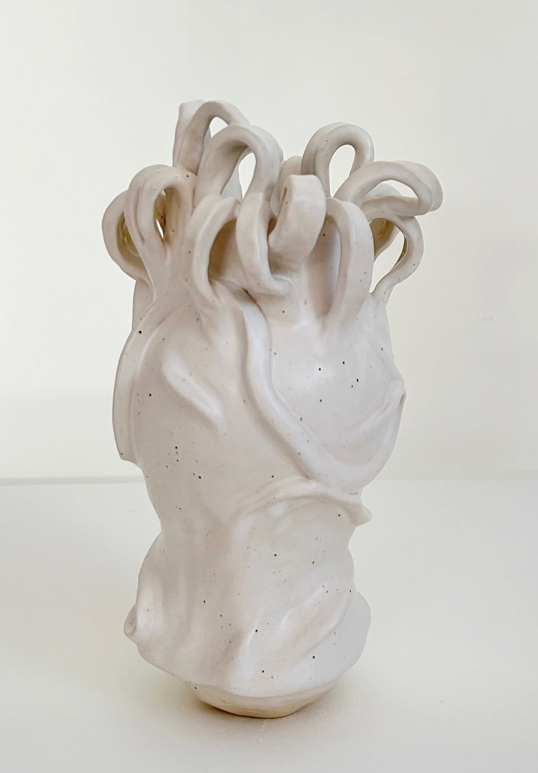 Vessel #8 by Evelyn Woods 