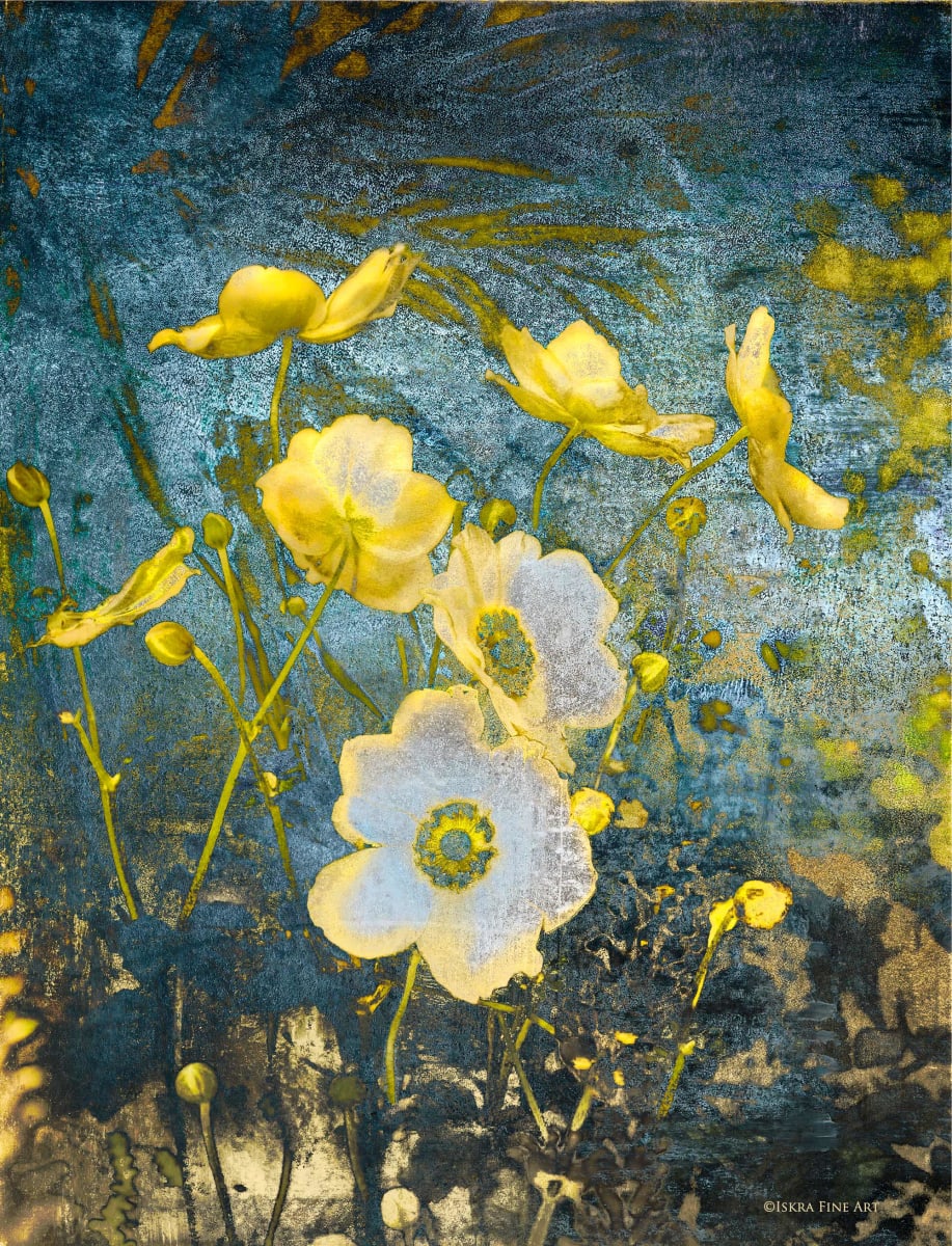 Anemone In The Field 1/35 by Iskra Johnson 