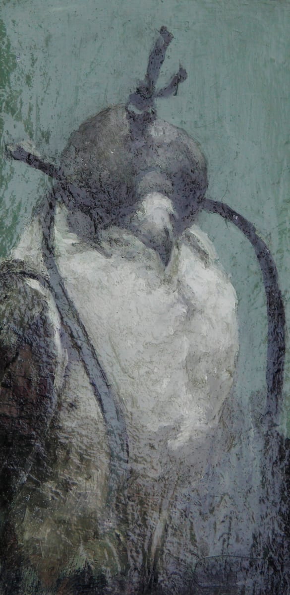 Baby Falcon by Claudia Pettis 