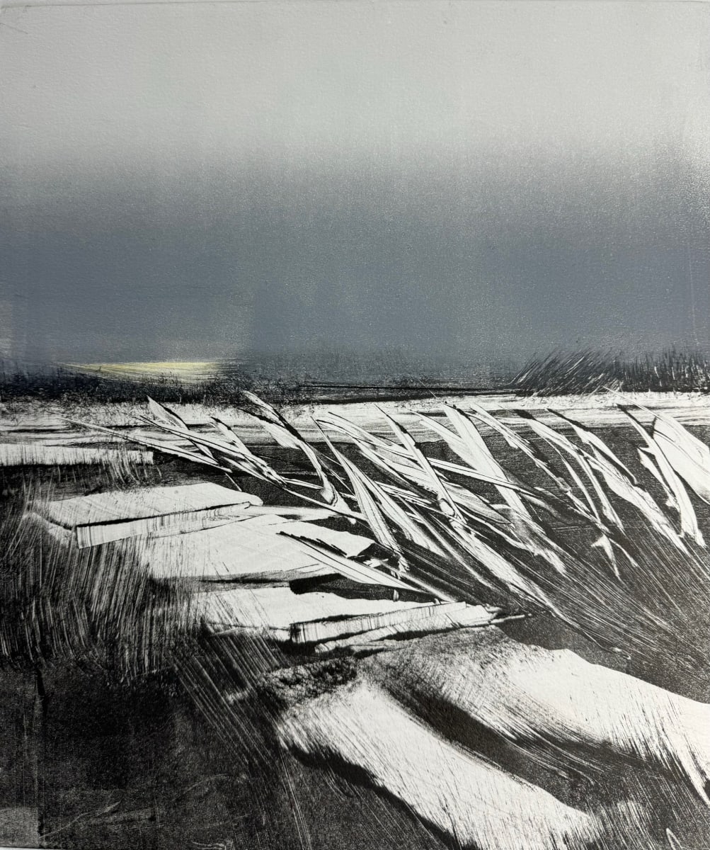 Beach Path by Kris Ekstrand, Image 1.