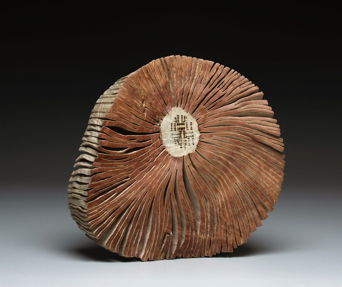 Disk Bleached Madrone Burl I by Christian Burchard 