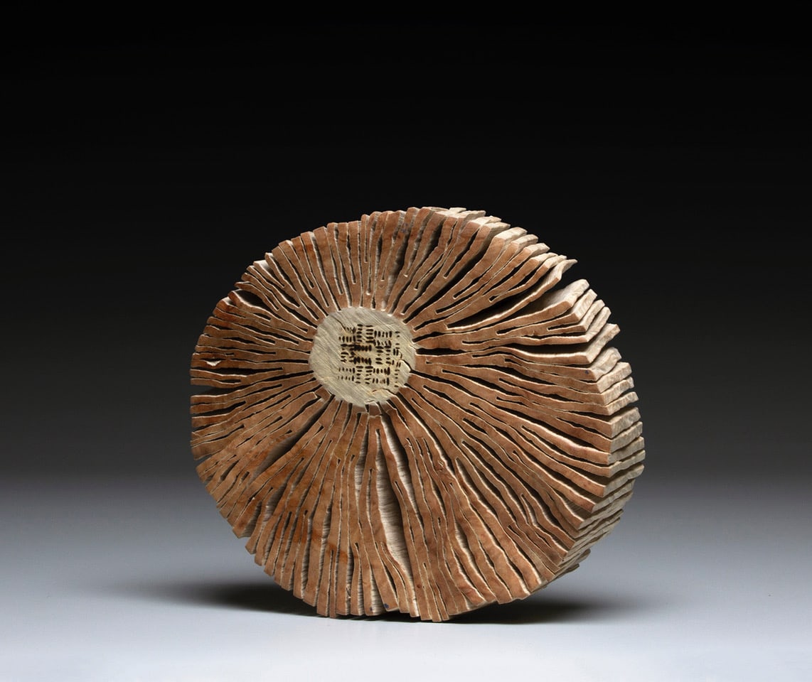 Disk  Bleached Madrone Burl II by Christian Burchard 