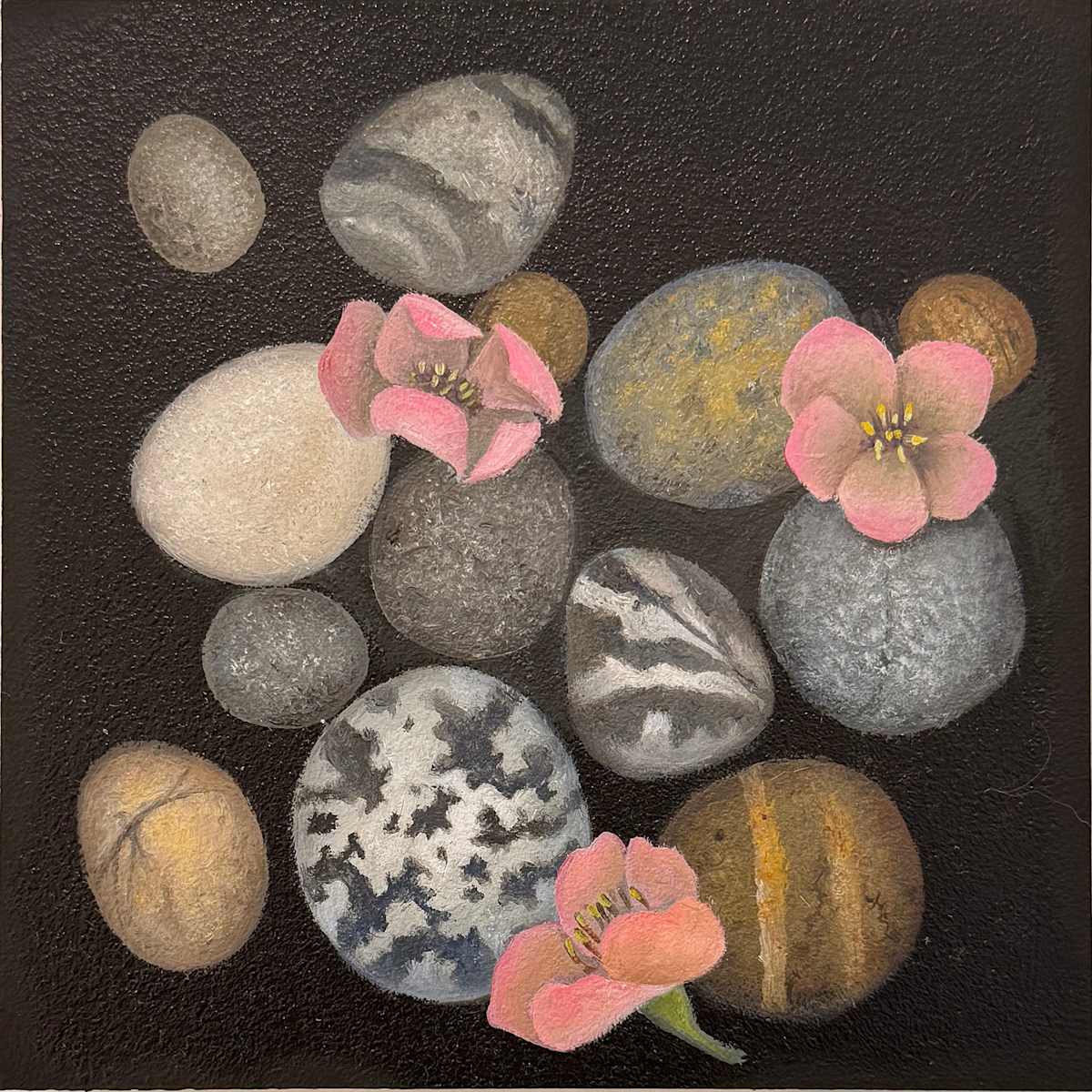 Collection 1 by Faith Scott Jessup, Image 1.