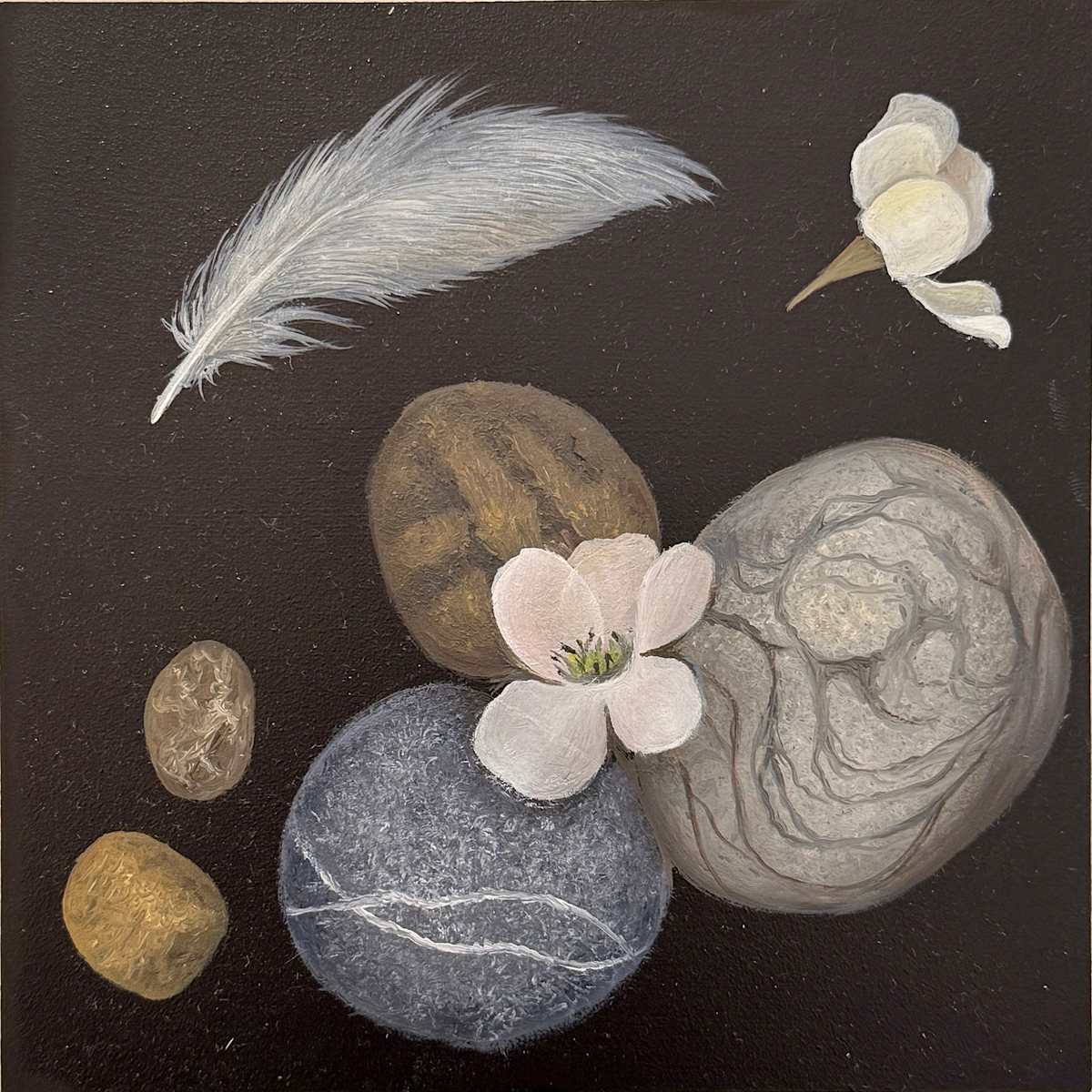Collection 2 by Faith Scott Jessup, Image 1.
