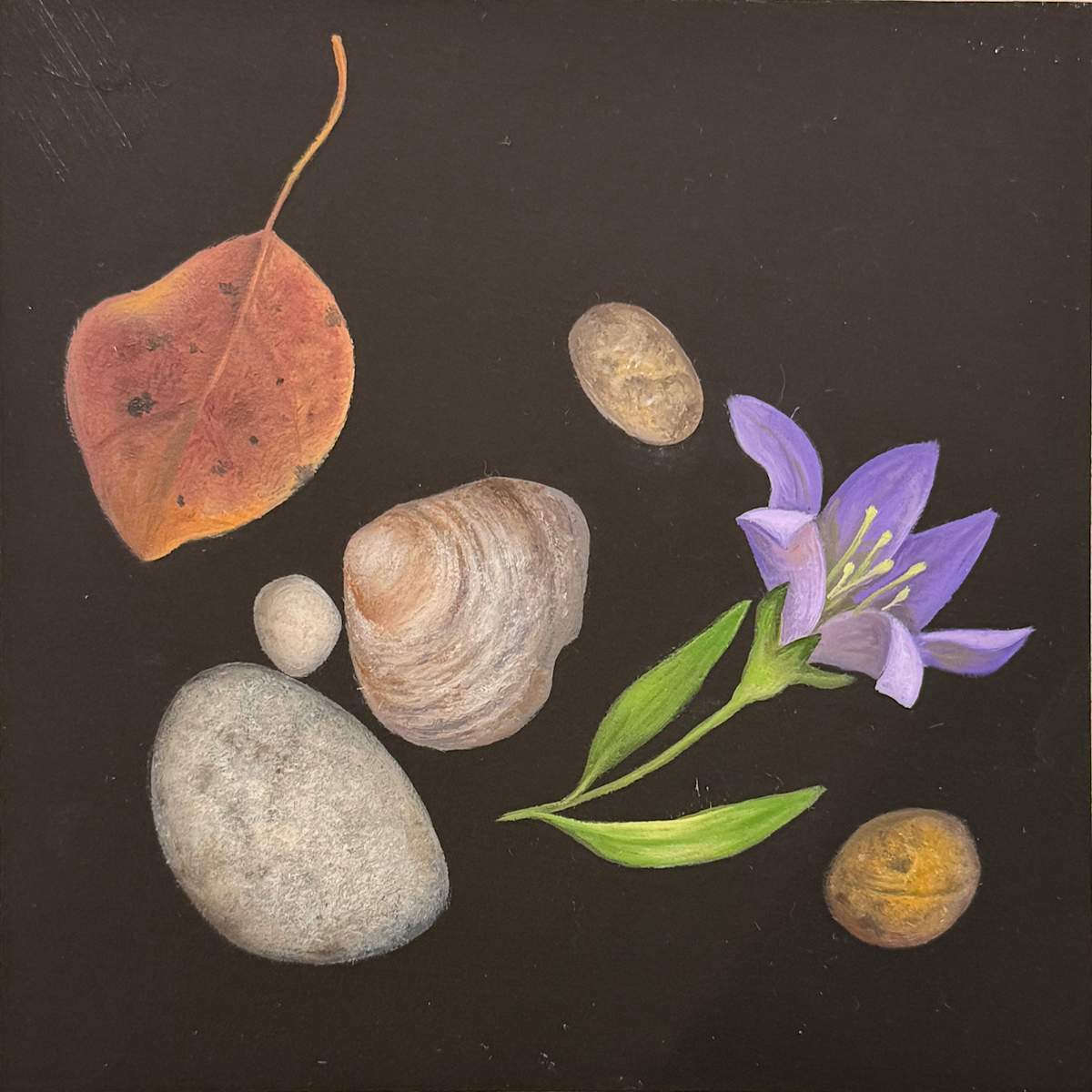 Collection 3 by Faith Scott Jessup, Image 1.