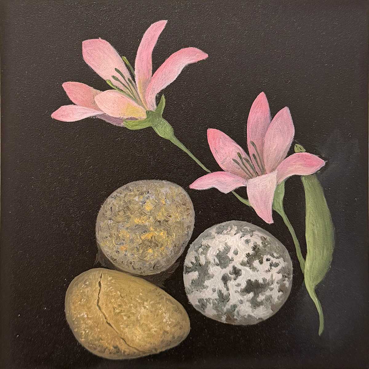 Collection 4 by Faith Scott Jessup, Image 1.