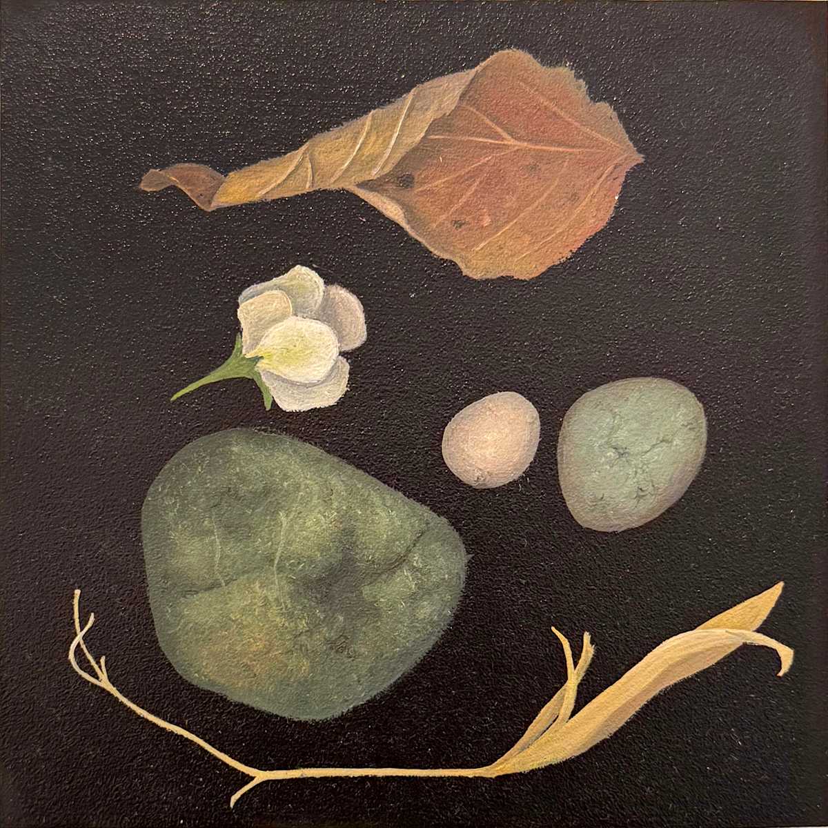Collection 6 by Faith Scott Jessup, Image 1.
