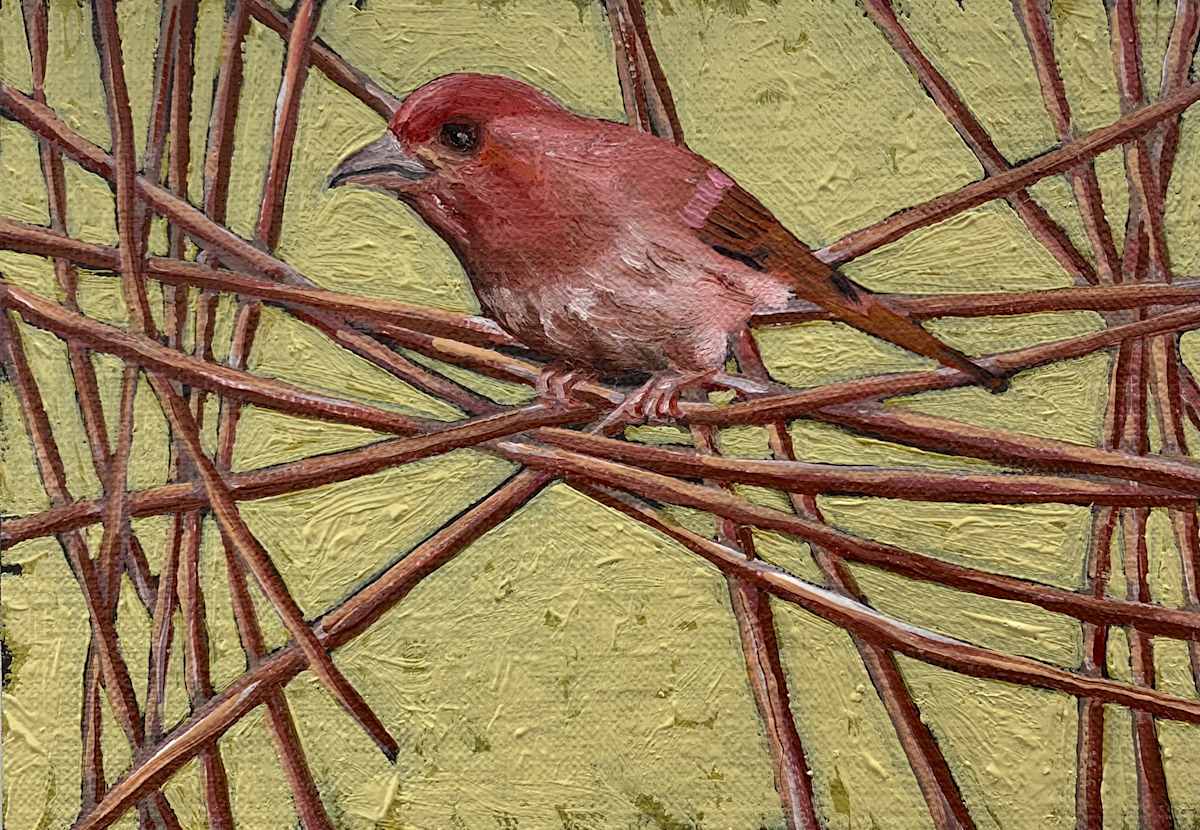 Criss Cross by Evelyn Woods 