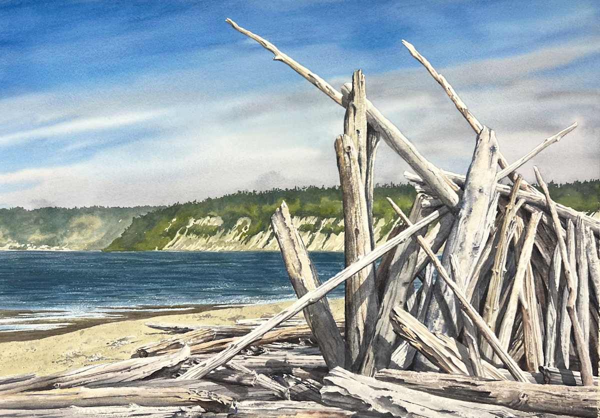 Unburdened By The Tide by David Van Galen, Image 1.