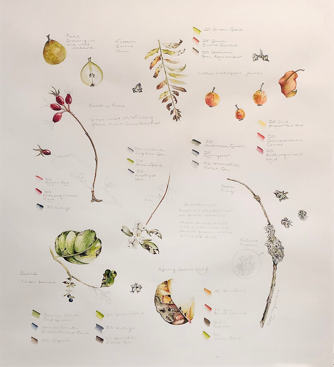 Ebey's Landing Fall Forage Study Page by Deborah Montgomerie, Image 1.