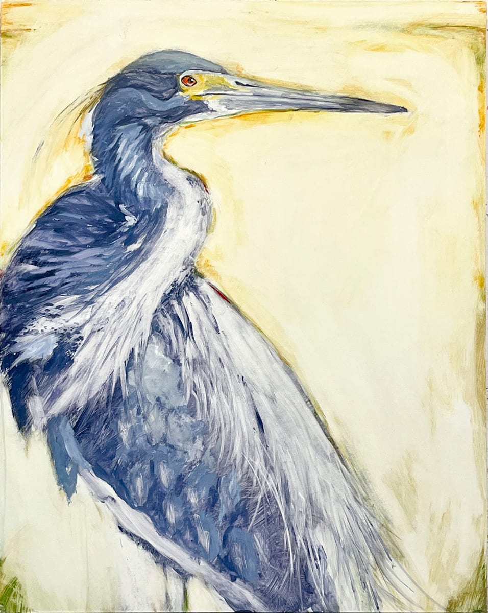 Tri-colored Heron by Michael Dickter 