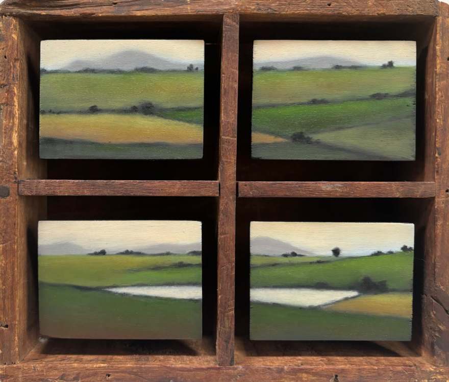 Field/Fields by Christie Scheele, Image 1.