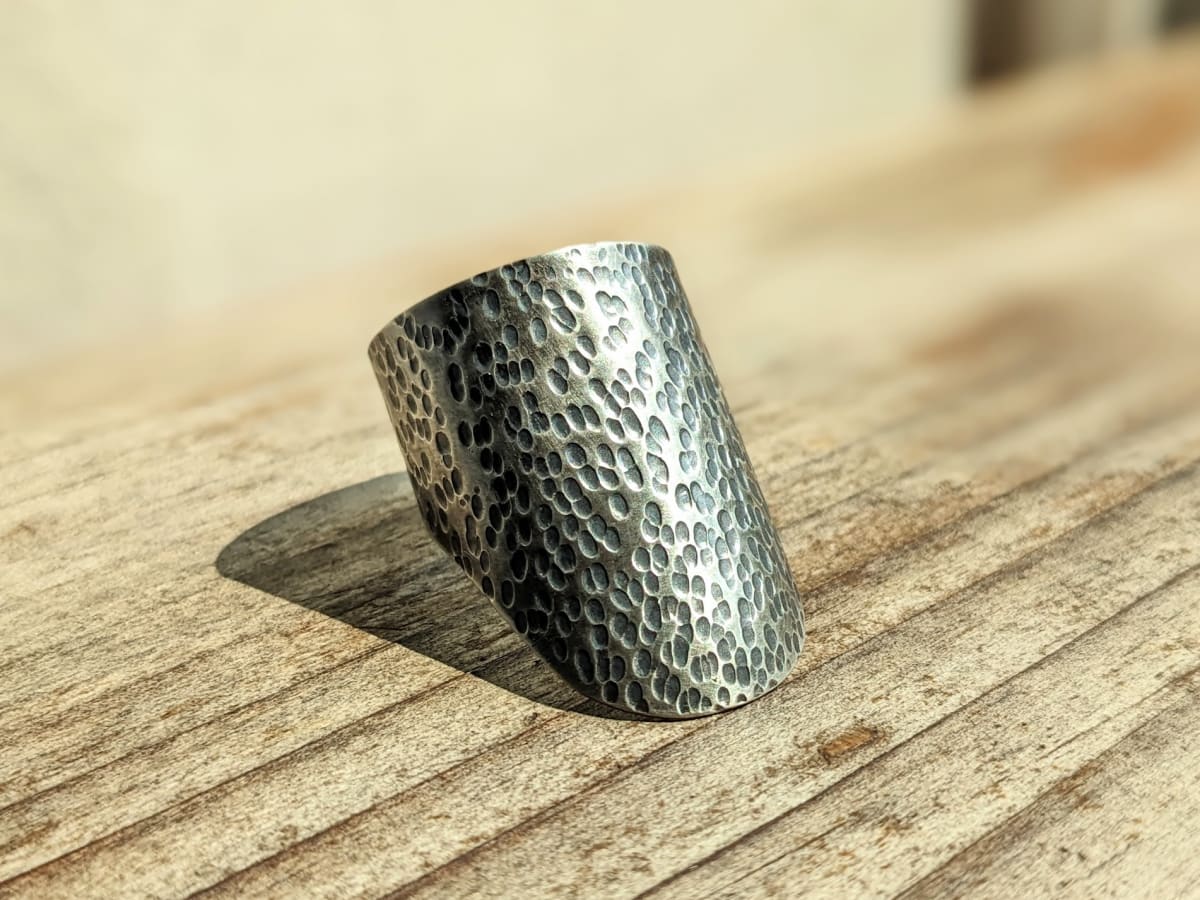 Gauntlet Ring by Sara Owens 