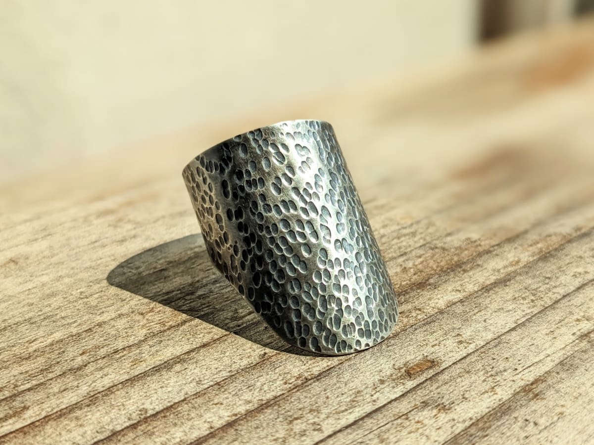 Gauntlet Ring by Sara Owens, Image 1.