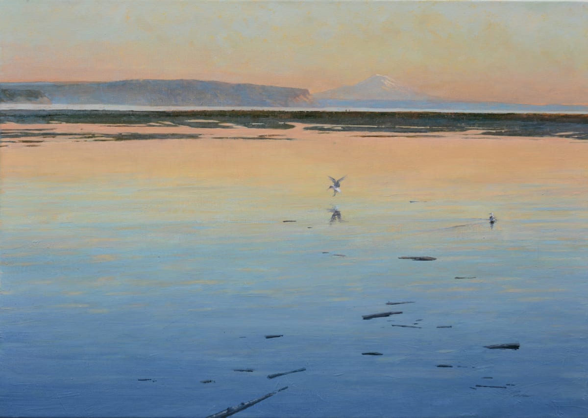 Seagulls at Sundown by Pete Jordan 