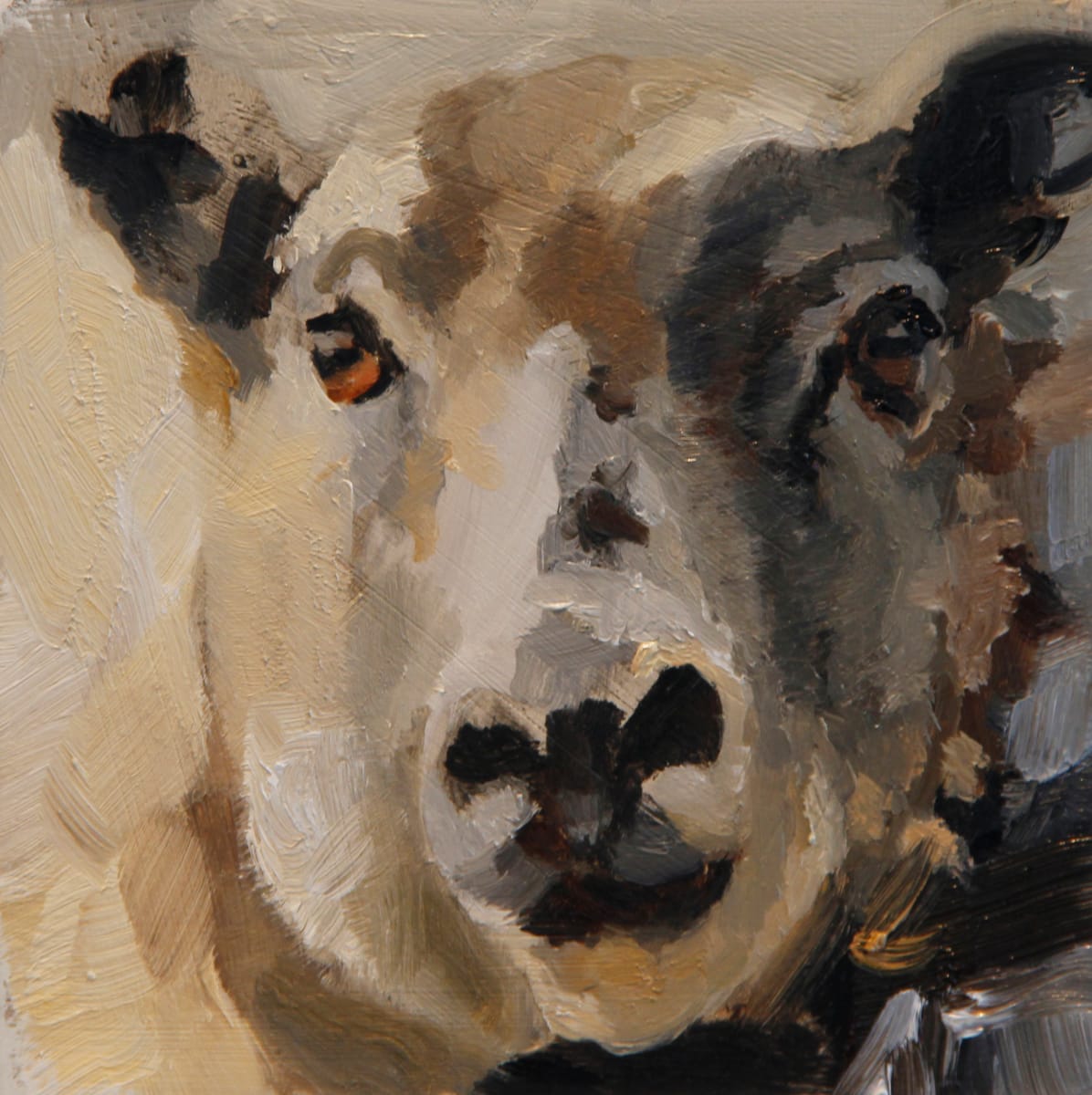 Lamb Chewing by Claudia Pettis 