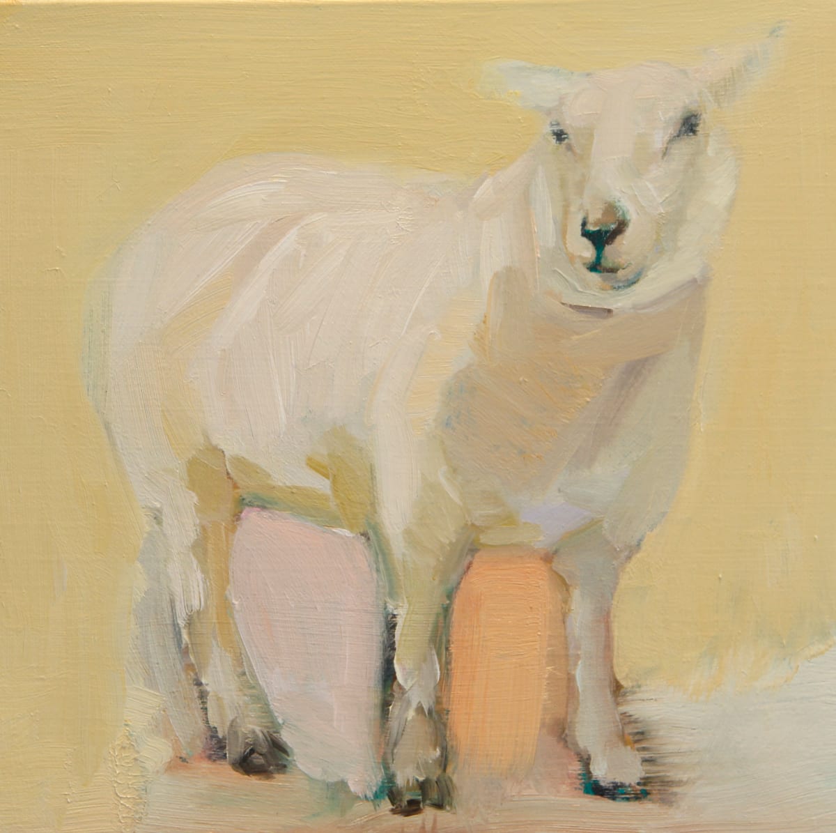 Lamb in Lighter Shade of Pale by Claudia Pettis 