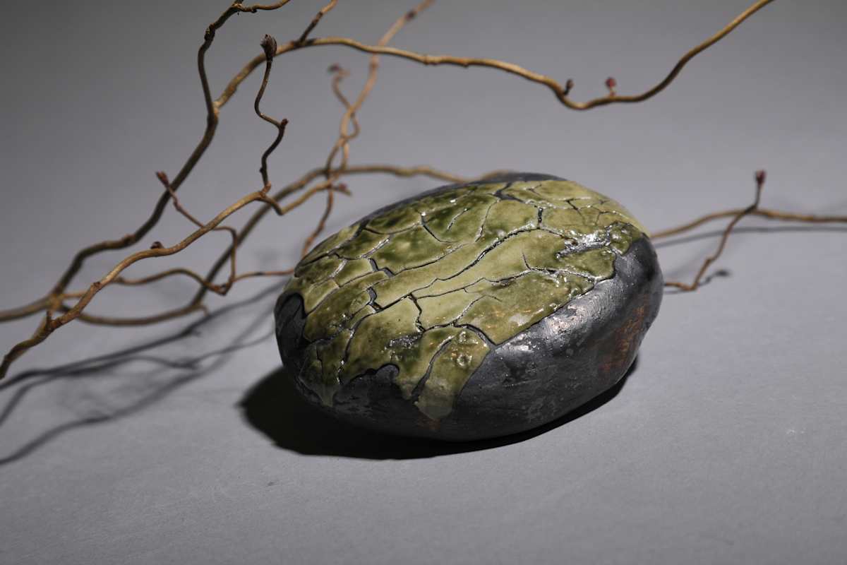 Lichen by Nancy Loorem Adams, Image 1.