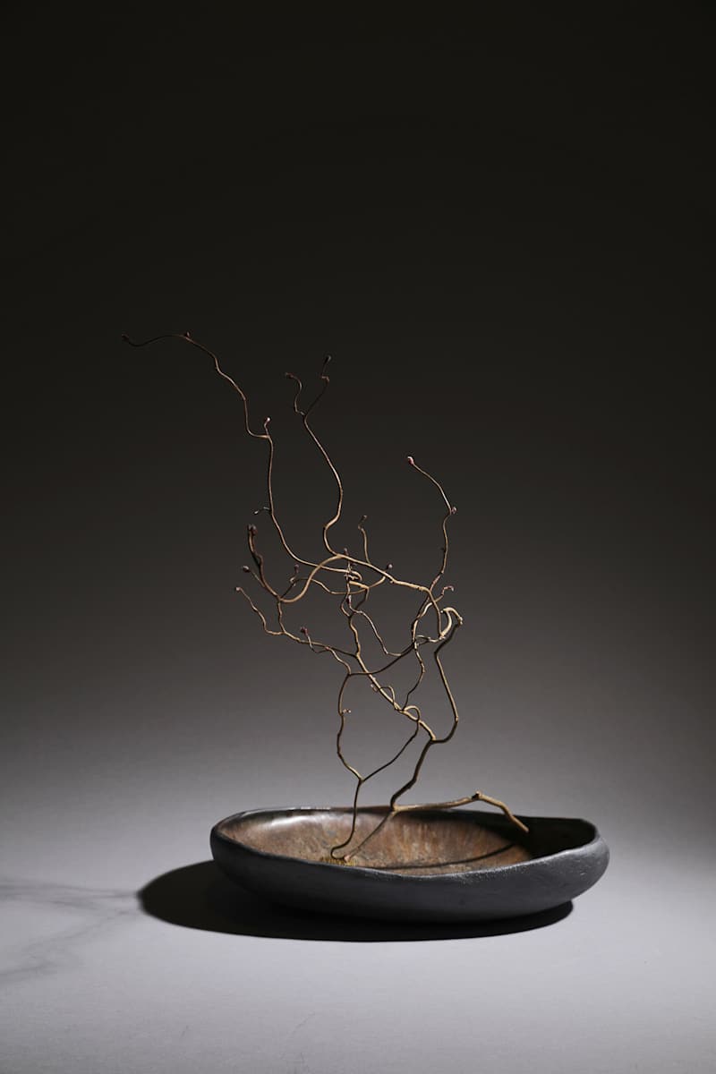 Initial Thought by Nancy Loorem Adams, Image 1.