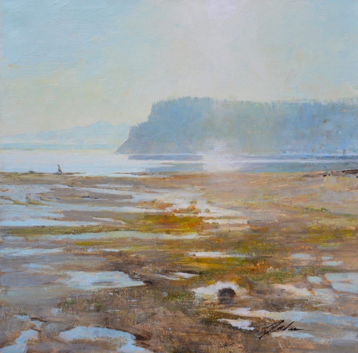 Mid Day Dog Walk, Double Bluff by Pete Jordan, Image 1.