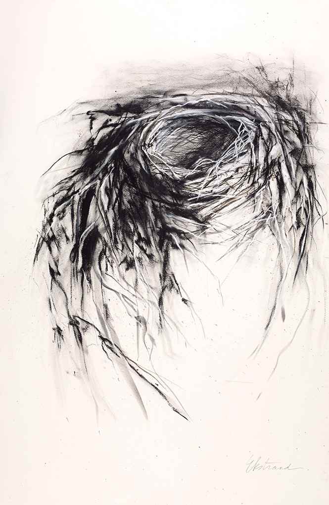 Avian Architecture by Kris Ekstrand 