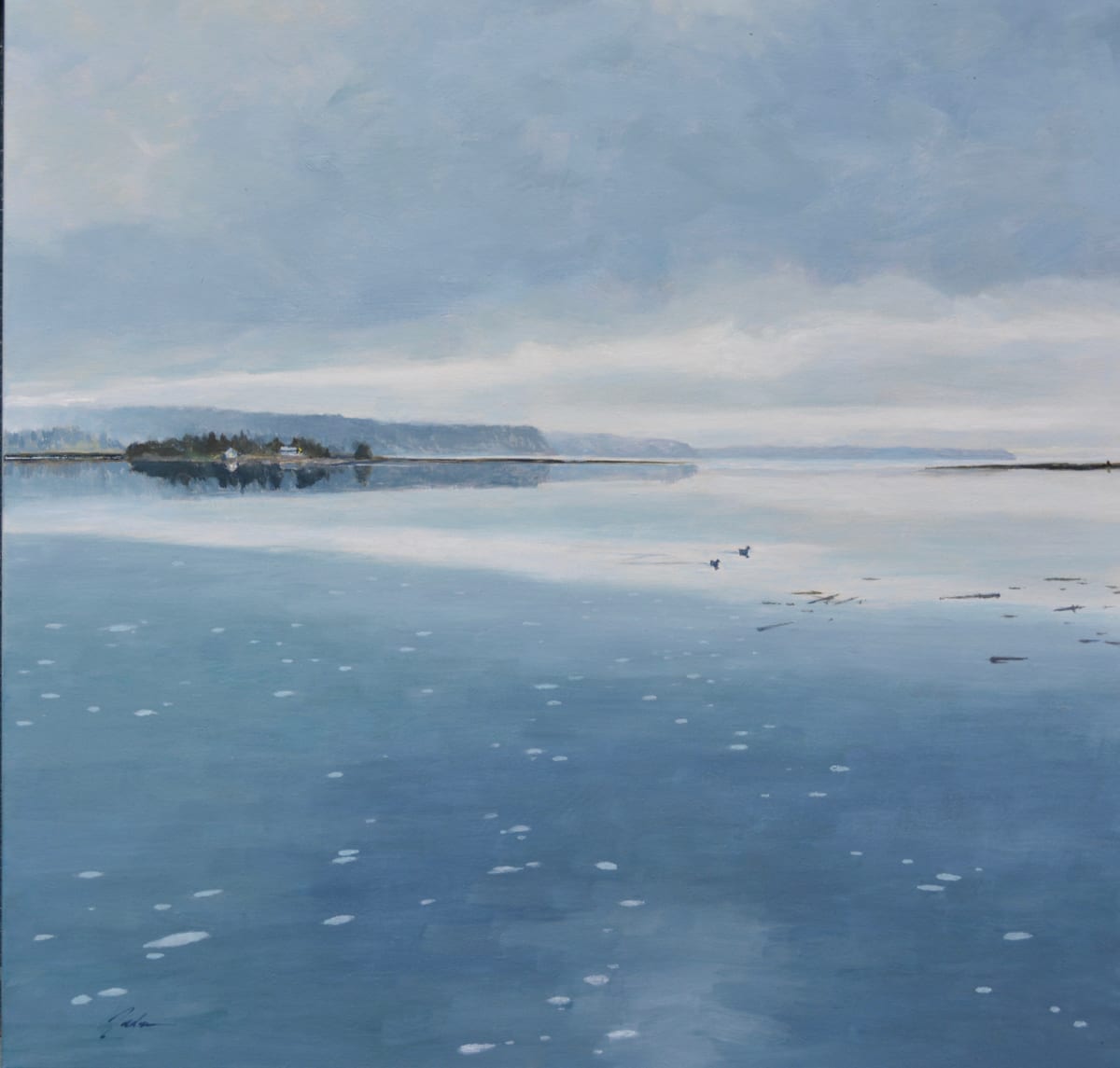 Outgoing Tide, Useless Bay by Pete Jordan 