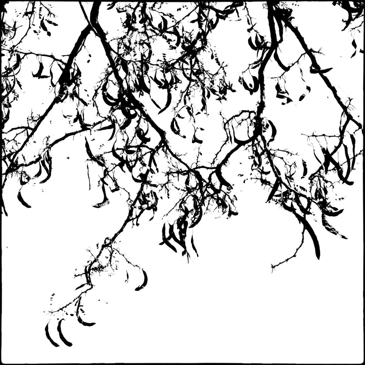 Pods by Skip Smith, Image 1.