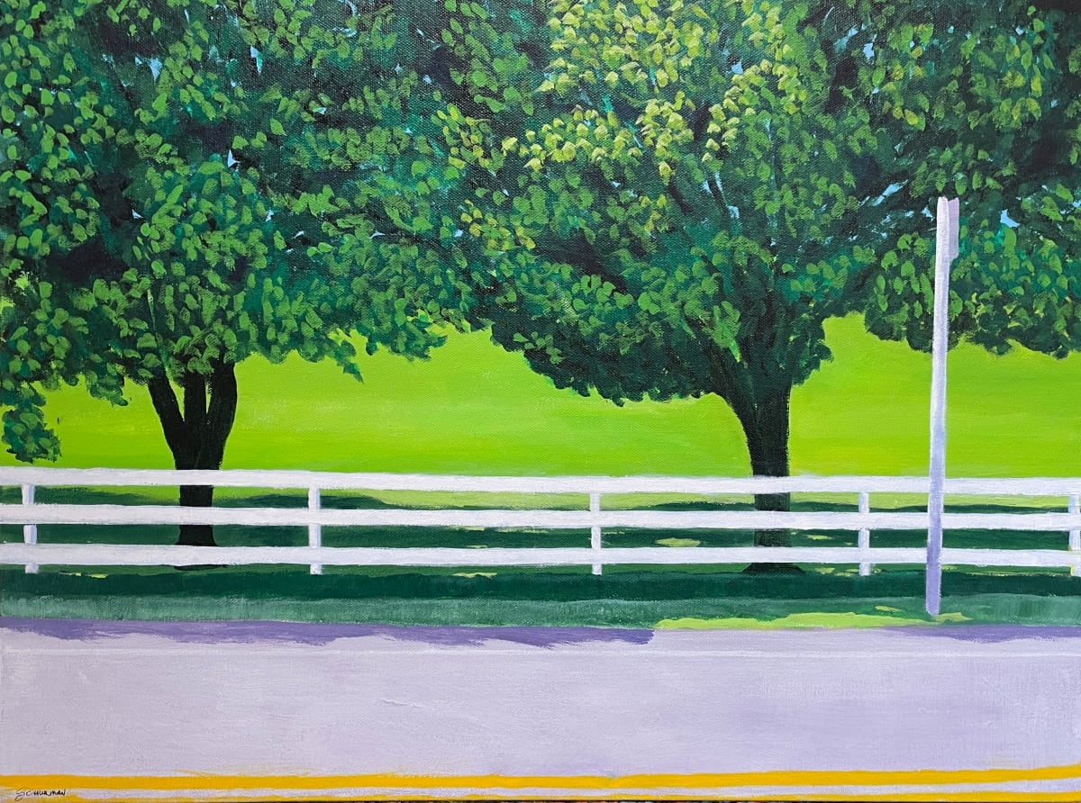 Roadside Attractions by Dewey Schurman, Image 3.